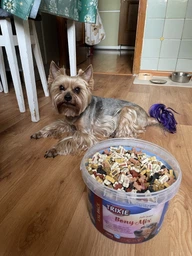 Ласощі Trixie Soft Snack Bony Mix для собак, пластикове відро, 1800 г (4011905315263)