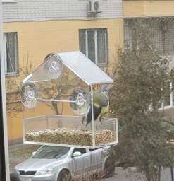 Прозрачная кормушка для птиц на окно Домик фото от покупателей 4