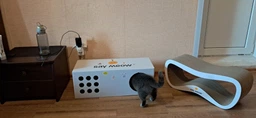 Когтеточка-лежанка для кошек Say Meow Grace гофрокартон, 67х27х24 см (8040190103008) фото от покупателей 17