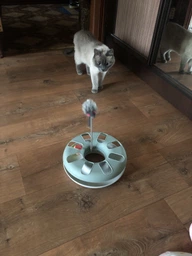 Іграшка для котів трек ігровий з мишкою Trixie Crazy Circle 24*29 см фото від покупців 9