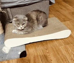 Когтеточка для кошек из картона CLAW-A1О 55x7x25 фото от покупателей 7