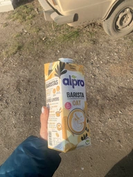 Напиток овсяный Alpro for Professionals 1 л (5411188130550)
