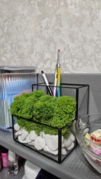Моссариум подставка для ручек MiNature Moss со стабилизированым мхом
