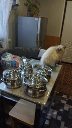 Набор кастрюль Edenberg, набор кастрюль из нержавейки, кастрюли из нержавеющей стали с 5 шаровым дном 8 предметов Серебристый фото от покупателей 1