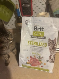 Корм сухой Brit Care Cat Grain Free Sterilized Immunity Support для стерилизованных котов для поддержки иммунитета со свининой фото от покупателей 2