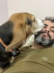 Анти гавкіт нашийник для собак ультразвуковий з вібрацією DOAKT Bark анти лай автоматичний водонепроникний IPX6 Orange (TZ-TC620) фото від покупців 2