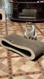 Когтеточка для кошек из картона CLAW-A2 Зелёная 65x14x25
