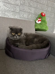 Лежак для собак і кішок Природа Люкс PR241784 40 х 30 х 17 см Коричневий (4823082417841) фото від покупців 2