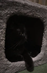 Домик когтеточка для кота дряпка для кошки Мур-Мяу КотэДж 34х34х67 см в джутовой веревке Коричнево-бежевый МТК фото от покупателей 19