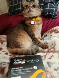 AnimAll VetLine Wicker - Нашийник протипаразитарний Вікер для собак і котів від бліх і кліщів, 35 см жовтий фото від покупців 6