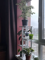 Подставка для цветов и вазонов, опора для цветов на пол или подоконник 80*40*20 фото от покупателей 14
