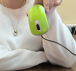 Миша комп'ютерна Genius DX-110 USB