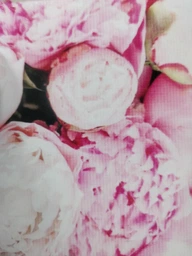 TPU чохол Demsky Pink peonies для Samsung Galaxy Note 20 Ultra