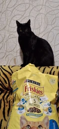 Сухий корм Friskies для дорослих кішок з лососем та овочами 300 (г) фото від покупців 10