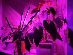 Фитолампа светодиодная LED лампа для роста растений на прищепке фитосветильник на 4 лампы для комнатных цветов рассады орхидей фито лампа фото от покупателей 5