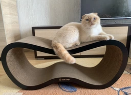 Кігтеточка з картону посиленого з дерев'яним фасадом Cat Joy Fusion Brown XXL 84х36х29 см фото від покупців 5