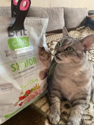Корм сухий Brit Care Cat Grain Free Senior Weight Control для котів похилого віку з надмірною вагою з куркою 400 г