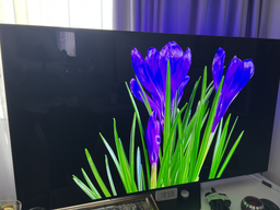 Телевізор Philips OLED 48" 48OLED819/12 фото від покупців 4