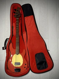 Чохол для бас-гітари GATOR GT-BASS-BLK