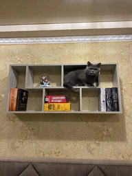 Полка навесная на стену MebelProff Trend 34, книжная полка, декоративная полка в комнату, дом. Дуб Сонома фото от покупателей 2