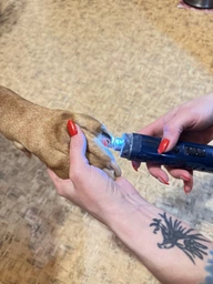 Профессиональный гриндер точилка для когтей собак Pet Nail Grinder XN-50