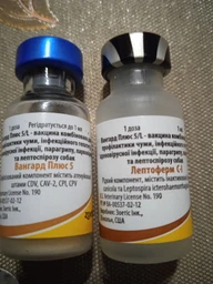 Вакцина Вангард плюс 5/L для собак