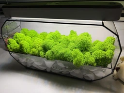 Моссариум MiNature Moss со стабилизированным мхом ягель норвежский фото от покупателей 1