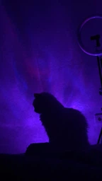 Ночник проектор КУБ с проекцией воды Настольная RGB лампа с эффектом водяной волны, с пультом фото от покупателей 15