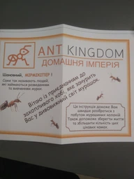 Комплект ANT-LIVE Smart "лист" с муравьиной фермой и муравьями - Формикарий фото от покупателей 3