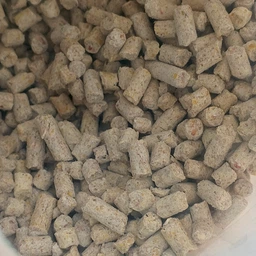 Наповнювач для котів кукурудзяний SuperCat 5л фото від покупців 12