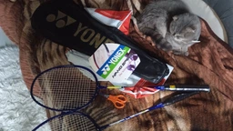 Набор Для Бадминтона Yonex Basic Volt Ne-yn-v500, 2 Ракетки, Волан, Чехол (322240) фото от покупателей 7
