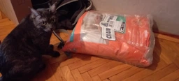 Сухий корм з куркою Club 4 Paws Клуб 4 Лапи для стерилізованих котів 2 кг (4820083909276) фото от покупателей 6
