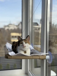 Спальное место для кошки кровать лежанка оконная гамак Sunny Seat Window фото от покупателей 19