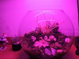 Фітолампа світлодіодна LED Plant Grow Light на 4 лампи для росту рослин на прищіпці фітосвітильник для кімнатних квітів, розсади