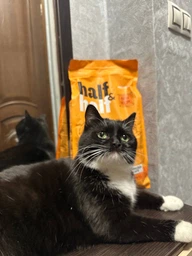 Сухой корм для кошек Half&Half Sterilized 8 кг, с говядиной фото от покупателей 4