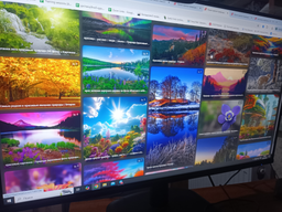 Монитор 24.5" Acer EK251QGbi (UM.KE1EE.G01)