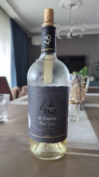 Вино 46 Parallel El Capitan Pinot Gris біле сухе 0.75 л 10-14% (4820233640622) фото від покупців 1