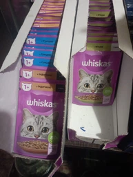 Вологий корм для котів Whiskas з ягням у желе 85 г (5900951302176)