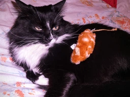 Іграшка для кота Trixie Мишка з пищалкою 8 см, плюш фото від покупців 2