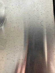 Варочная поверхность газовая Electrolux EGS6436SX