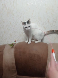 Удочка махалка дразнилка с гусеницей для котят, кошки 97 см разноцветная фото от покупателей 1