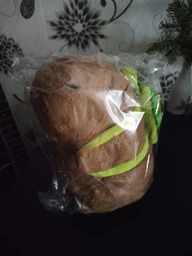 Мягкая игрушка Капибара 25см тренд Тик-Тока. Водосвинка фото от покупателей 1