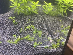 Кормушка акриловая для креветок, улиток и донных рыб AQUA-TECH Acrylic Shrimp Feeder (AT-AFC-6)
