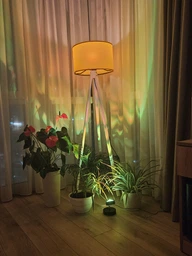 Проекционная светодиодная лампа Sunset INSPIRE RGB LXY-462 10W Bluetooth фото от покупателей 2