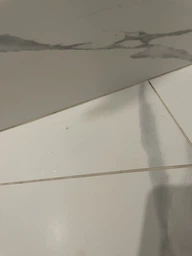 Пароочисник Karcher SC 3 EasyFix (1.513-650.0) фото від покупців 12