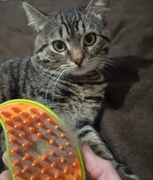 Паровая щетка расческа для вычесывания шерсти котов 3 в 1 Steamy Cat Brush Зеленая фото от покупателей 2