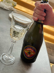 Вино ігристе PURPLE FROG Prosecco DOC біле екстра сухе 0.75 л 11% (8005890911025)