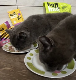 Упаковка влажного корма Half&Half для взрослых кошек кусочки с уткой и тыквой в соусе 85 г х 24 шт (2700000065747) фото от покупателей 5