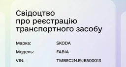 Олівець з авто фарбою за VIN-кодом 2в1 20ml підфарбування подряпин відколів фото від покупців 16