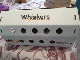 Когтеточка - лежанка дряпка для кошек и котов WellCat Whiskers 54х24х12 см и коробка домик 55*26*27см